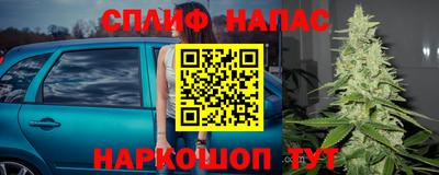 скорость Берёзовский