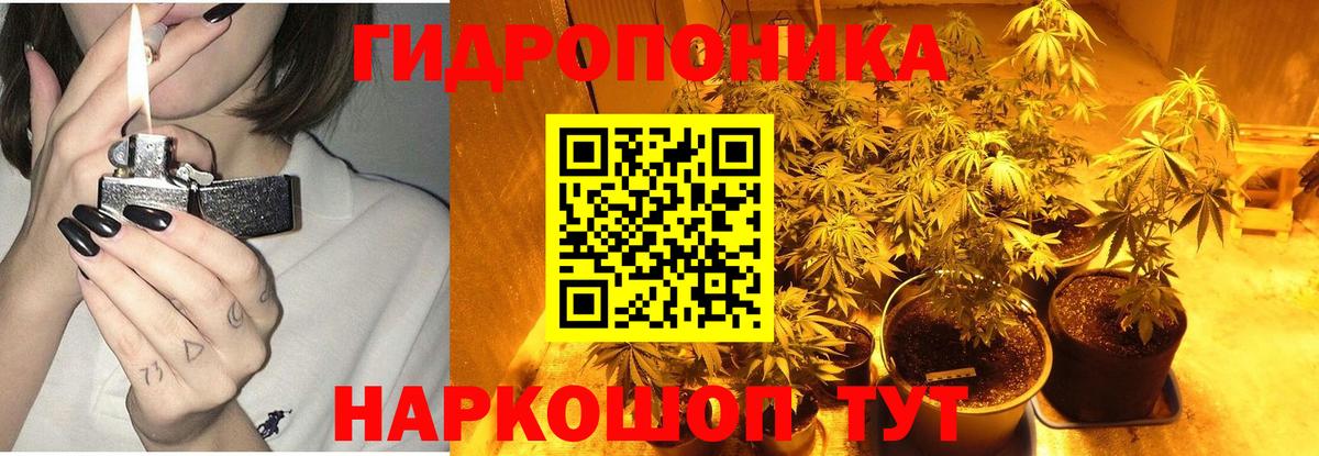 МАРИХУАНА Amnesia  Вход с VPN  Канабис OG Kush  Зеленогорск 